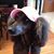 Marjorie Taney Gordon's profile image