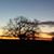 Teresa Bishop's profile image