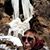 Laura C Scott's profile image