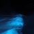 Rob Thorpe's profile image