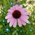 Katie Hill Moll's profile image