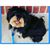 Duval Damfool's profile image
