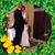 Fabiola Lizbeth Saavedra Rojas's profile image