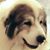 Dianne L Migas's profile image