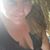 Sheley Sandra's profile image
