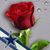 Manuela Mendez's profile image