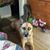 Fiona Smallwood's profile image