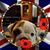Marion Carr's profile image