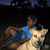 Alissa Nicholson Scuderi's profile image