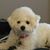 Antoinette Spina's profile image