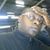 Maurice M Kalombo's profile image