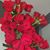 Tina Marie Ward-Brock's profile image