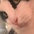 Kelli Buchanan's profile image