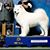 Diane Garcia's profile image