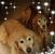 Katherine W.'s profile image