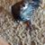 Tina Landau Wray's profile image