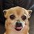 Vee Nightingale's profile image