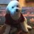 Lisa Lueders-Braden's profile image