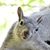 Laura Thompson's profile image