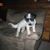 Sandy Press's profile image