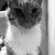 Madison Hoban's profile image