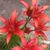 Kathy Silcox Oliverio's profile image