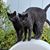 Jennifer Perhach's profile image