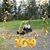 Kimberly M Ferland's profile image