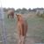 Jerry Case's profile image