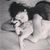 Giada Tortoriello's profile image