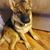 Judi Cleasby's profile image