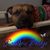 Kim Spence's profile image