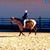 Rafter H Qh's profile image