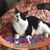 Kathleen Janusz's profile image