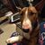 Angela Slaton-Reusch's profile image
