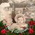 Beth Fryer's profile image