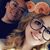 Emily Kriplean's profile image