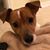 Nikki Meldrum's profile image