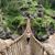Diana Kaps's profile image