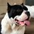 James Cook's profile image