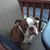 Terrence Sullivan's profile image