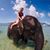 Brittany Culbertson's profile image