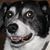 Little Richie's profile image