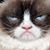 Mollee Briseno's profile image