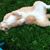 Sharon Wright's profile image
