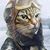 Eva Maria Turner's profile image
