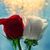 Gigi Mendez's profile image