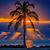 Debbie Stewart's profile image