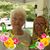 Brenda Bailey's profile image