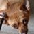 Billie Wilwant Sutton's profile image